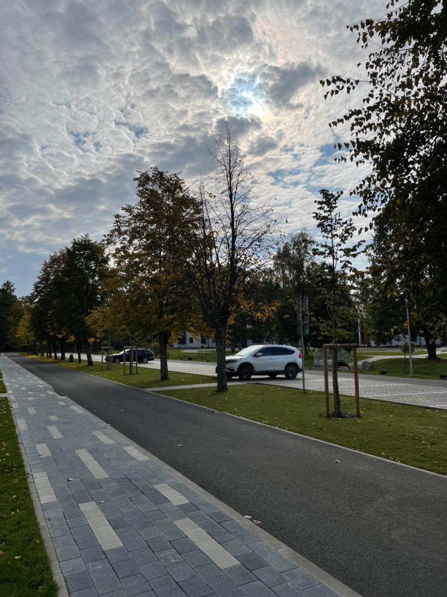 11 Pine View Apartman Ķesterciems Kültér fotó