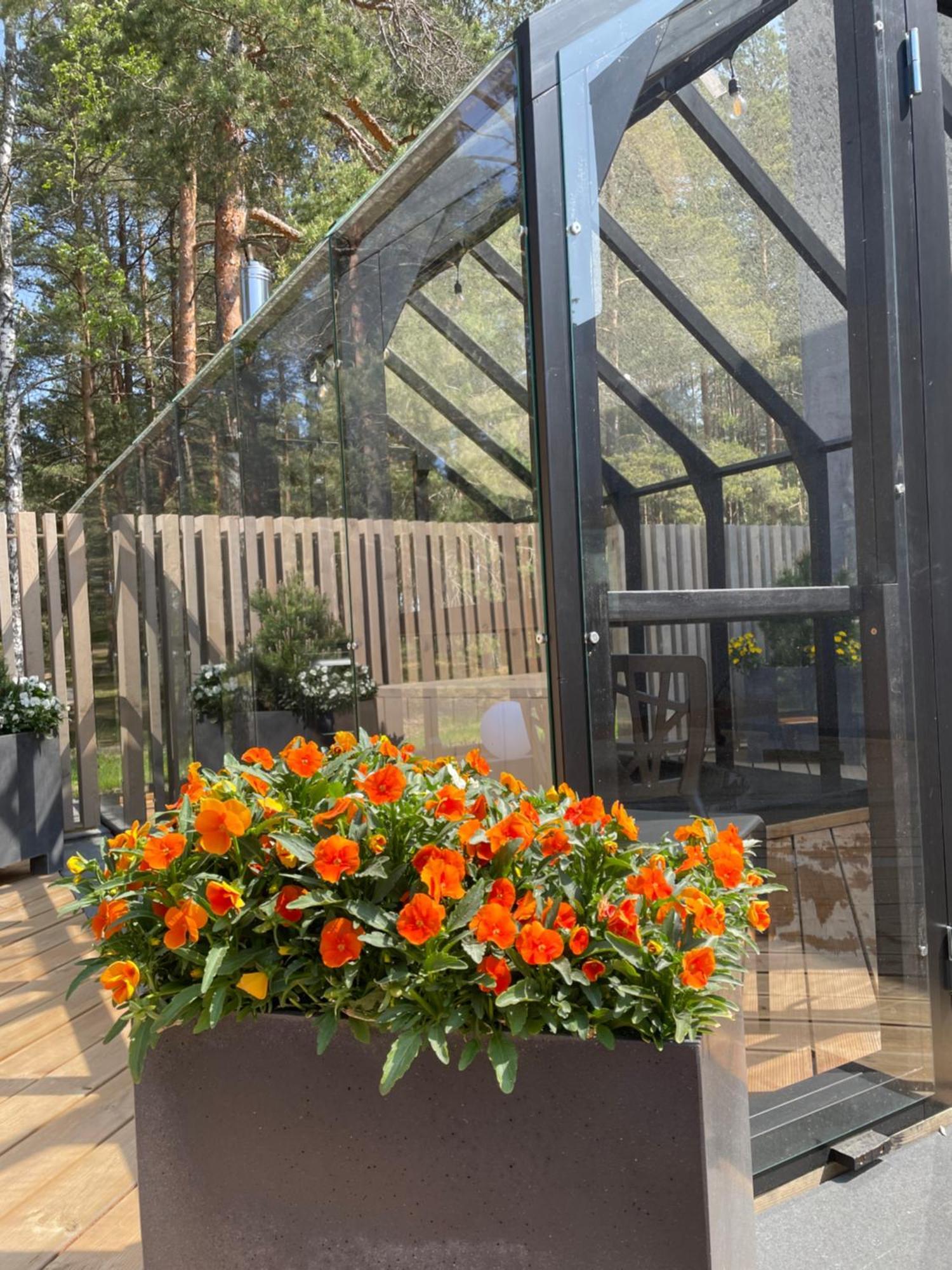 11 Pine View Apartman Ķesterciems Kültér fotó